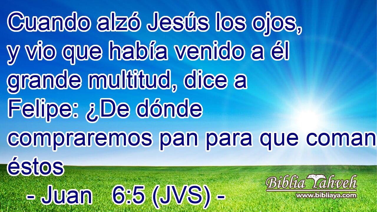 Cuando alzó Jesús los ojos, y vio que había venido a él grande multitud, dice a Felipe: ¿De dónde compraremos pan para que coman éstos