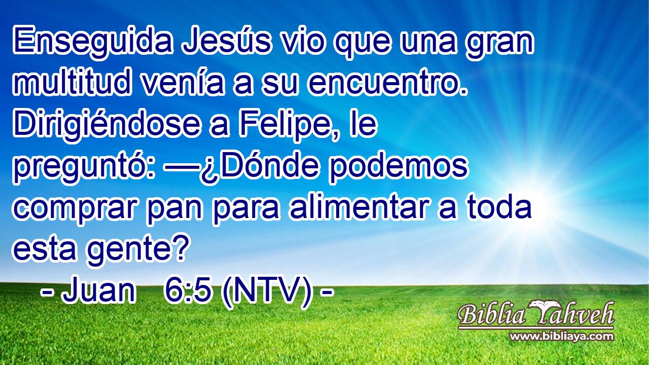 Enseguida Jesús vio que una gran multitud venía a su encuentro. Dirigiéndose a Felipe, le preguntó: —¿Dónde podemos comprar pan para alimentar a toda esta gente?