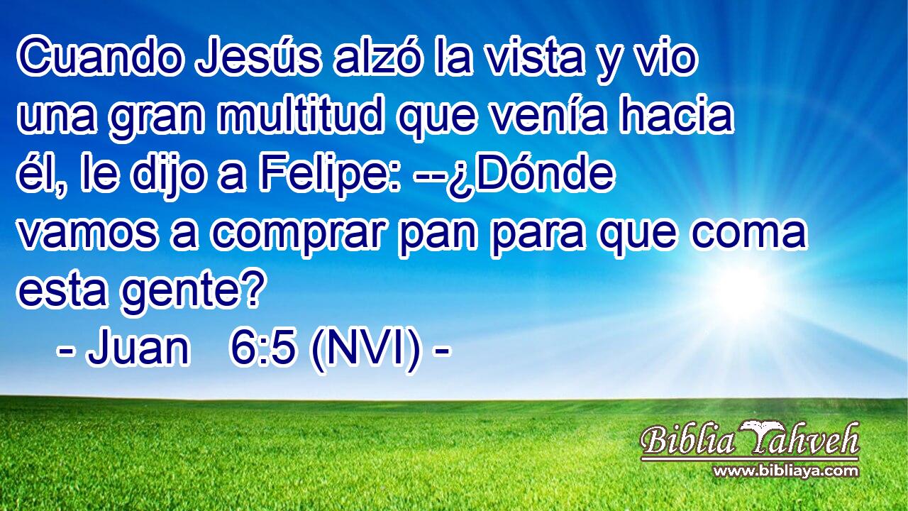  Cuando Jesús alzó la vista y vio una gran multitud que venía hacia él, le dijo a Felipe: --¿Dónde vamos a comprar pan para que coma esta gente? 