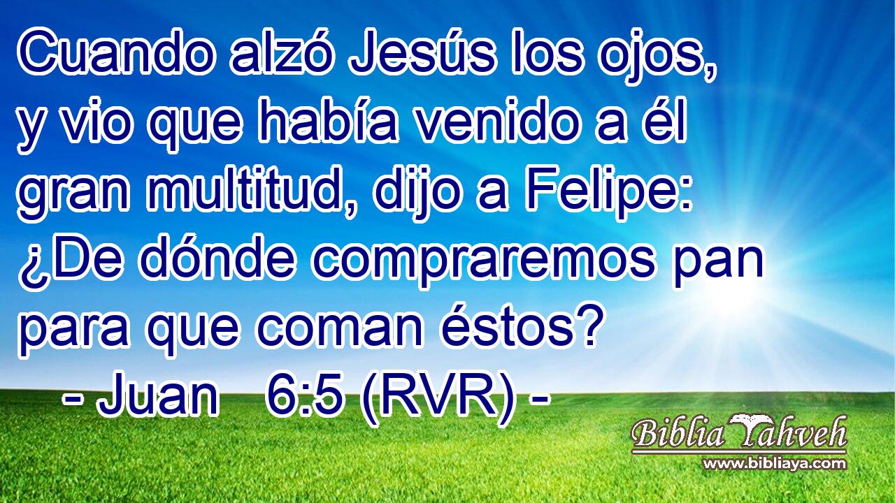 Cuando alzó Jesús los ojos, y vio que había venido a él gran multitud, dijo a Felipe: ¿De dónde compraremos pan para que coman éstos?