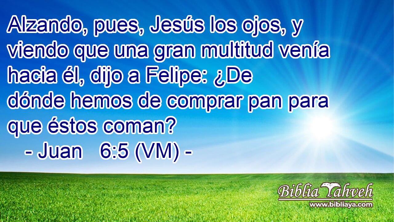  Alzando, pues, Jesús los ojos, y viendo que una gran multitud venía hacia él, dijo a Felipe: ¿De dónde hemos de comprar pan para que éstos coman? 