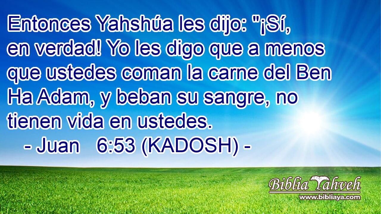  Entonces Yahshúa les dijo: 