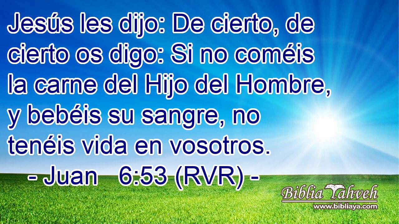 Jesús les dijo: De cierto, de cierto os digo: Si no coméis la carne del Hijo del Hombre, y bebéis su sangre, no tenéis vida en vosotros.