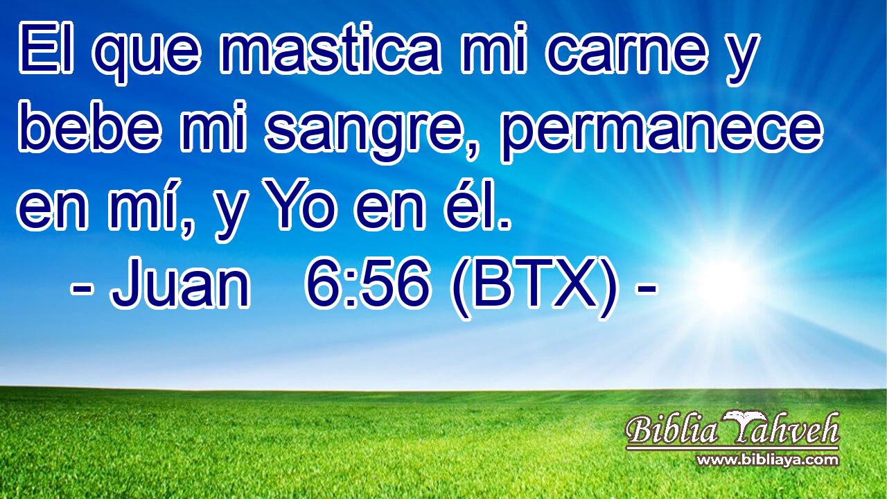 El que mastica mi carne y bebe mi sangre, permanece en mí, y Yo en él.