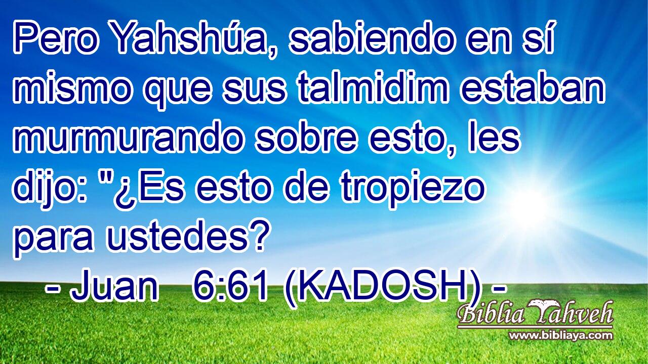 Pero Yahshúa, sabiendo en sí mismo que sus talmidim estaban murmurando sobre esto, les dijo: 
