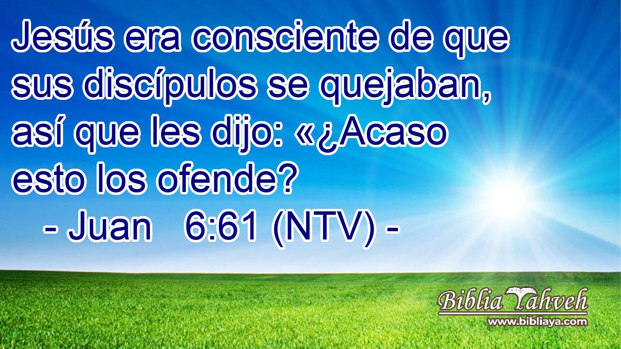 Jesús era consciente de que sus discípulos se quejaban, así que les dijo: «¿Acaso esto los ofende?