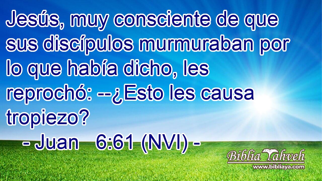  Jesús, muy consciente de que sus discípulos murmuraban por lo que había dicho, les reprochó: --¿Esto les causa tropiezo? 