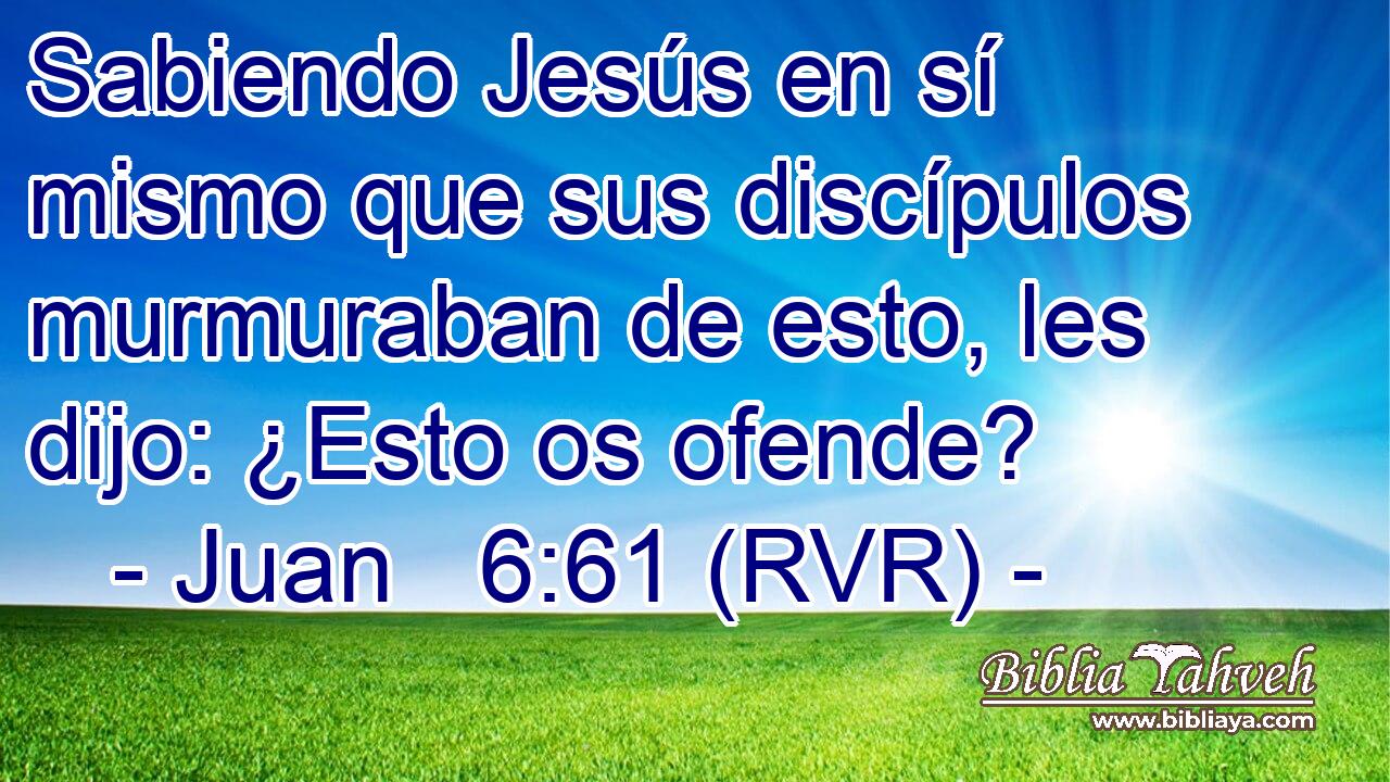 Sabiendo Jesús en sí mismo que sus discípulos murmuraban de esto, les dijo: ¿Esto os ofende?