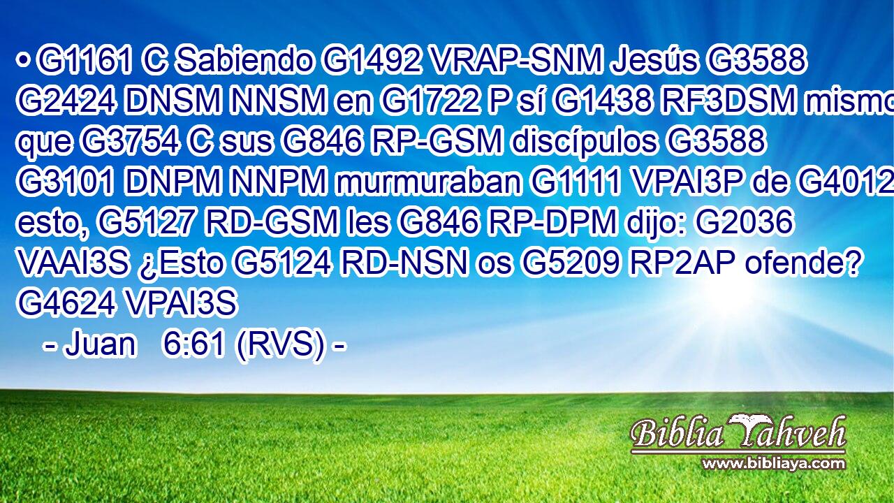 • G1161 C Sabiendo G1492 VRAP-SNM Jesús G3588 G2424 DNSM NNSM en G1722 P sí G1438 RF3DSM mismo que G3754 C sus G846 RP-GSM discípulos G3588 G3101 DNPM NNPM murmuraban G1111 VPAI3P de G4012 P esto, G5127 RD-GSM les G846 RP-DPM dijo: G2036 VAAI3S ¿Esto G5124 RD-NSN os G5209 RP2AP ofende? G4624 VPAI3S 
