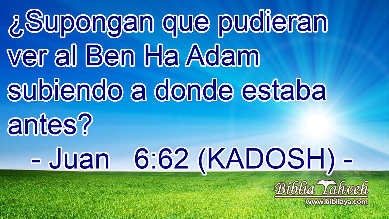 ¿Supongan que pudieran ver al Ben Ha Adam subiendo a donde estaba antes? 