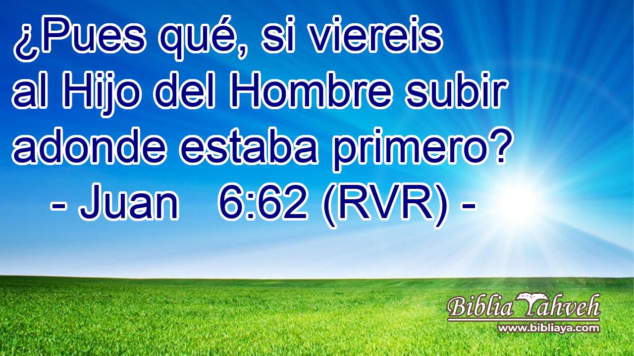 ¿Pues qué, si viereis al Hijo del Hombre subir adonde estaba primero?
