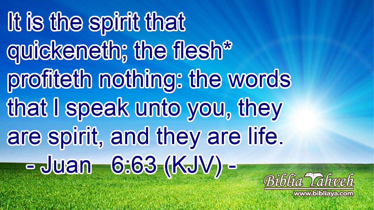 It is the spirit that quickeneth; the flesh* profiteth nothing: the words that I speak unto you, they are spirit, and they are life.