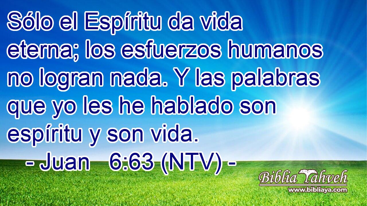 Sólo el Espíritu da vida eterna; los esfuerzos humanos no logran nada. Y las palabras que yo les he hablado son espíritu y son vida.