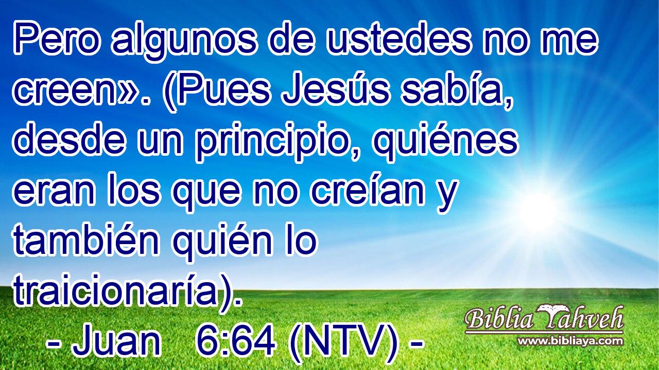 Pero algunos de ustedes no me creen». (Pues Jesús sabía, desde un principio, quiénes eran los que no creían y también quién lo traicionaría).