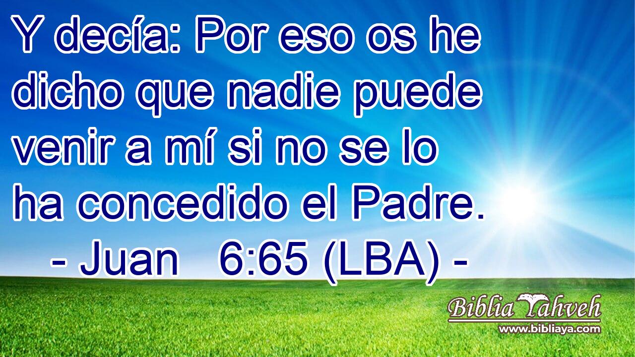Y decía: Por eso os he dicho que nadie puede venir a mí si no se lo ha concedido el Padre.