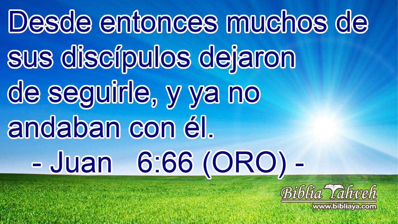 Desde entonces muchos de sus discípulos dejaron de seguirle, y ya no andaban con él. 