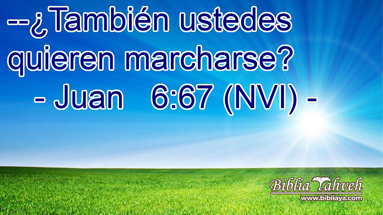  --¿También ustedes quieren marcharse? 