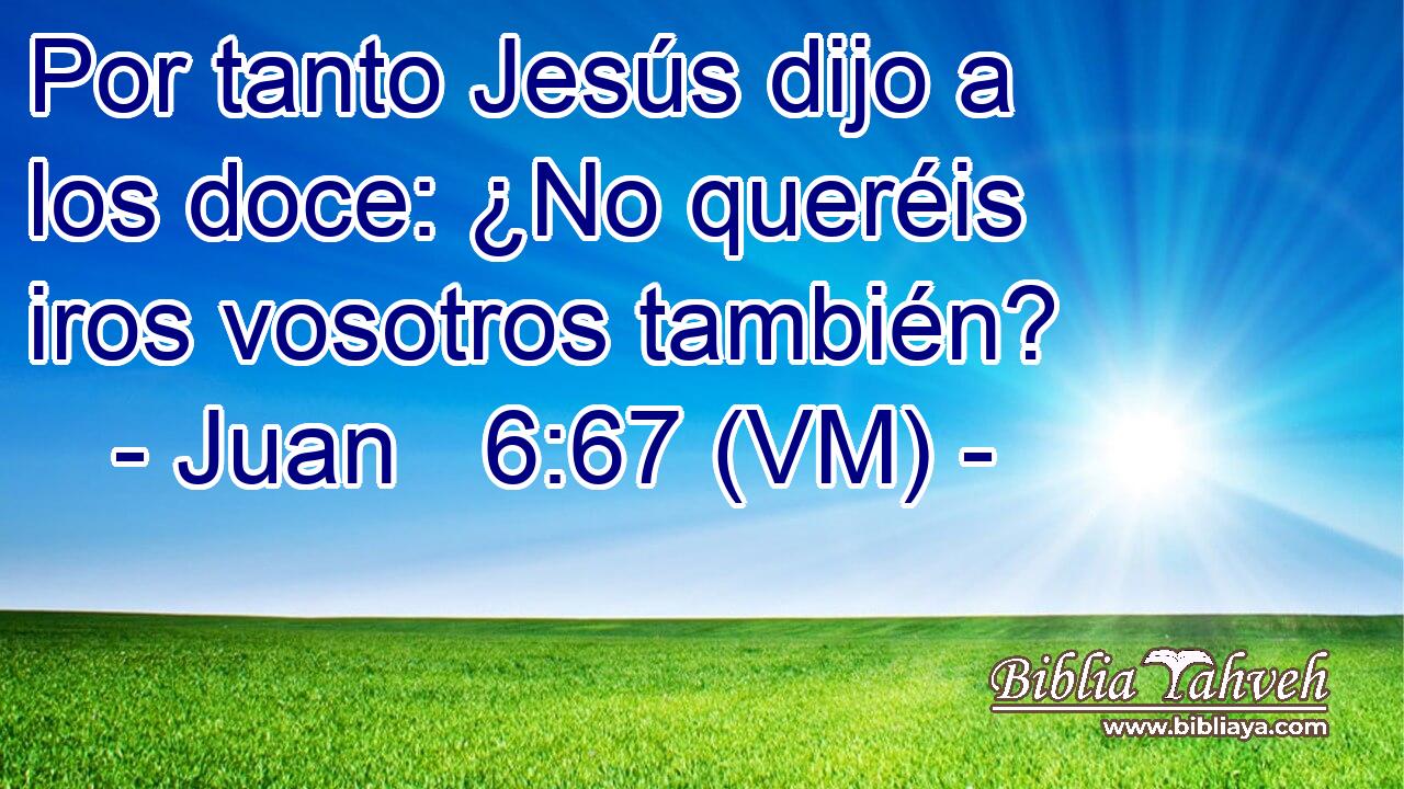  Por tanto Jesús dijo a los doce: ¿No queréis iros vosotros también? 