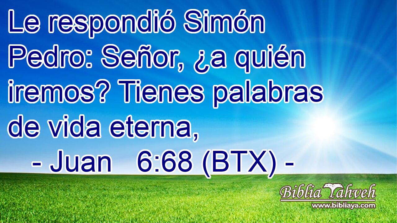 Le respondió Simón Pedro: Señor, ¿a quién iremos? Tienes palabras de vida eterna,