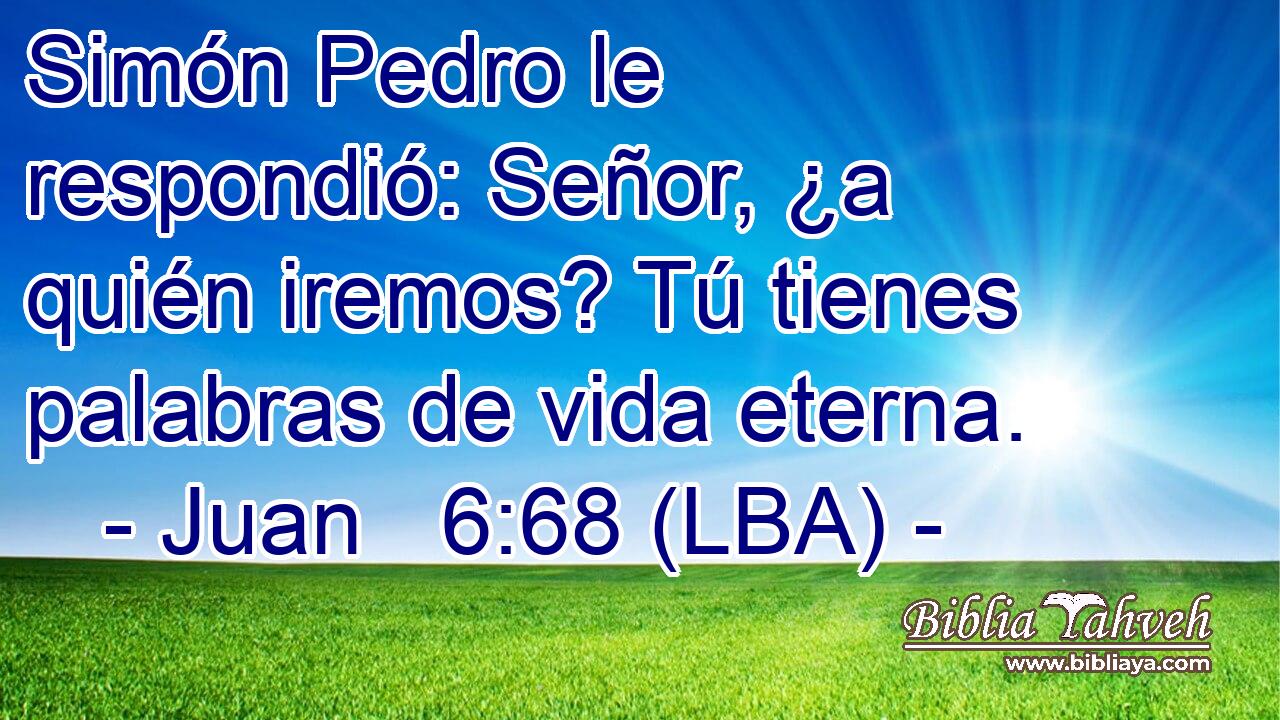 Simón Pedro le respondió: Señor, ¿a quién iremos? Tú tienes palabras de vida eterna.