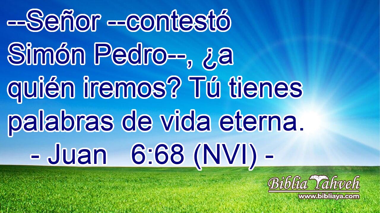  --Señor --contestó Simón Pedro--, ¿a quién iremos? Tú tienes palabras de vida eterna. 