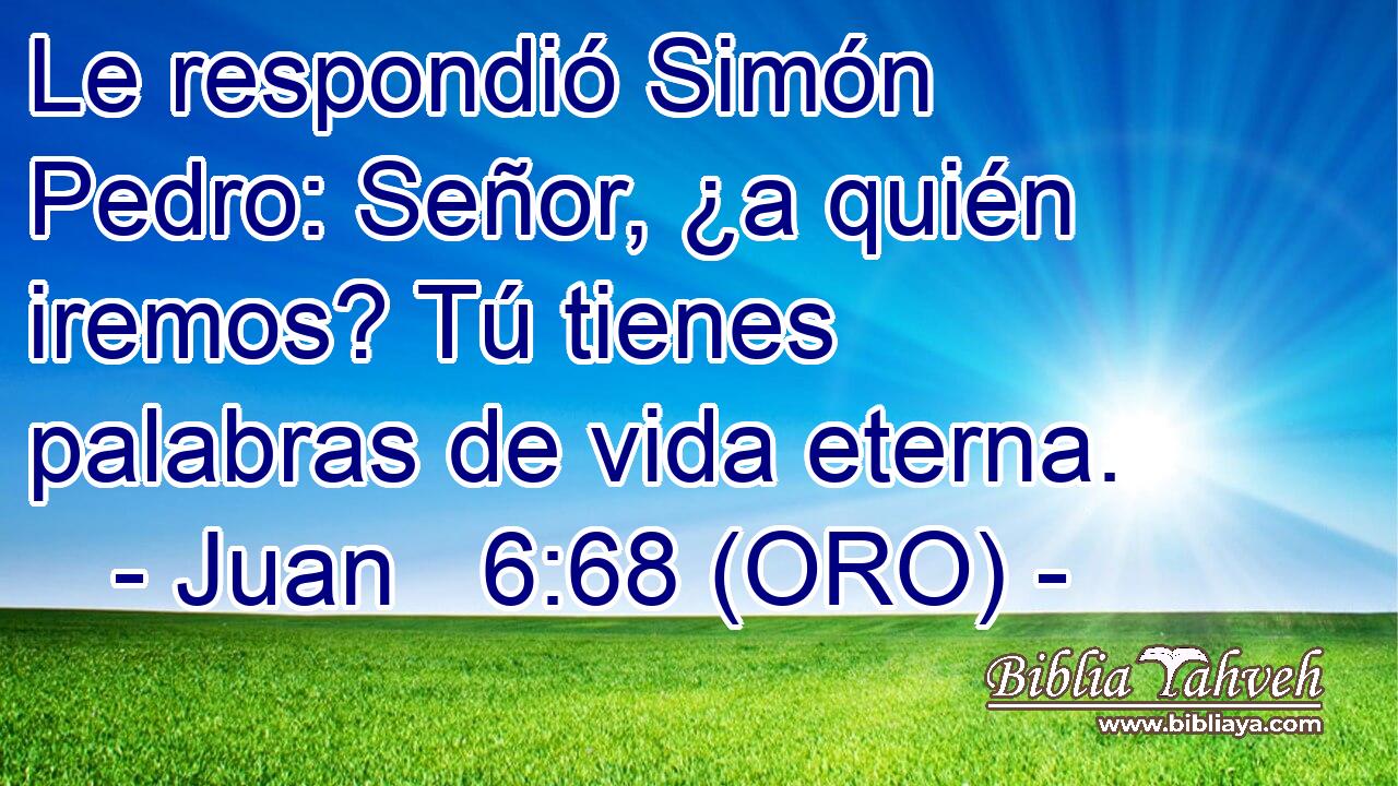  Le respondió Simón Pedro: Señor, ¿a quién iremos? Tú tienes palabras de vida eterna. 