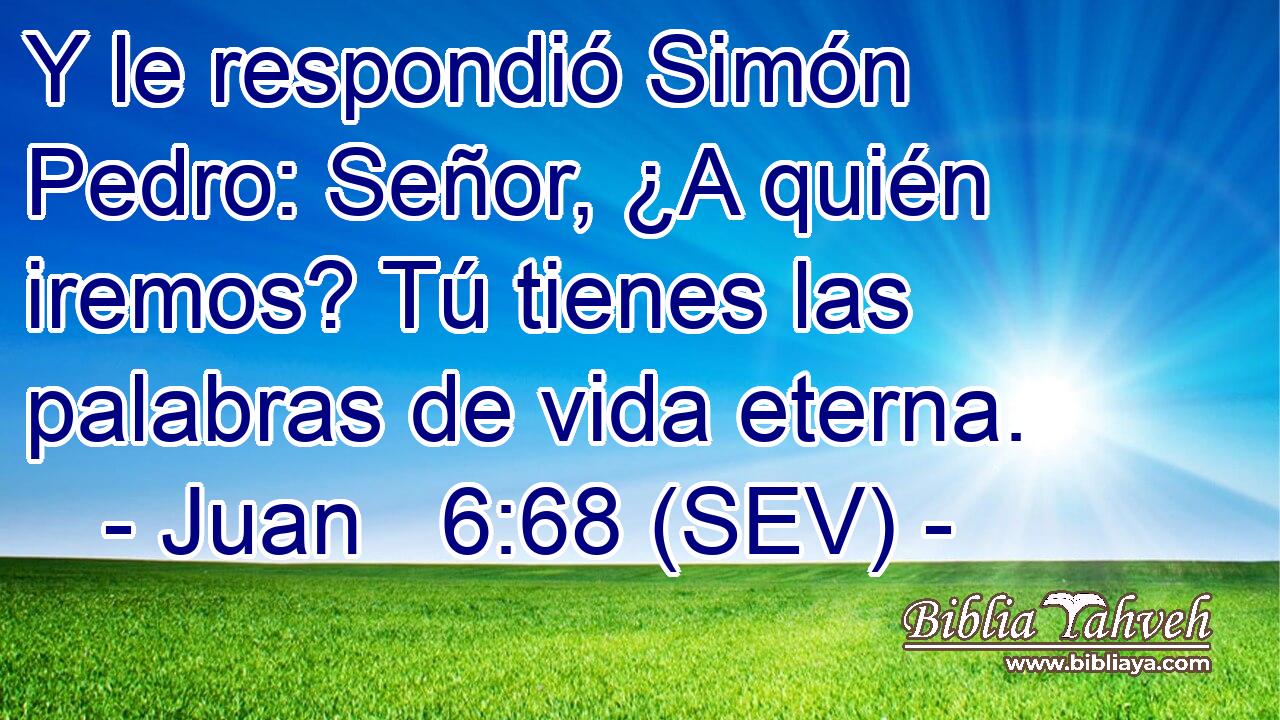 Y le respondió Simón Pedro: Señor, ¿A quién iremos? Tú tienes las palabras de vida eterna.