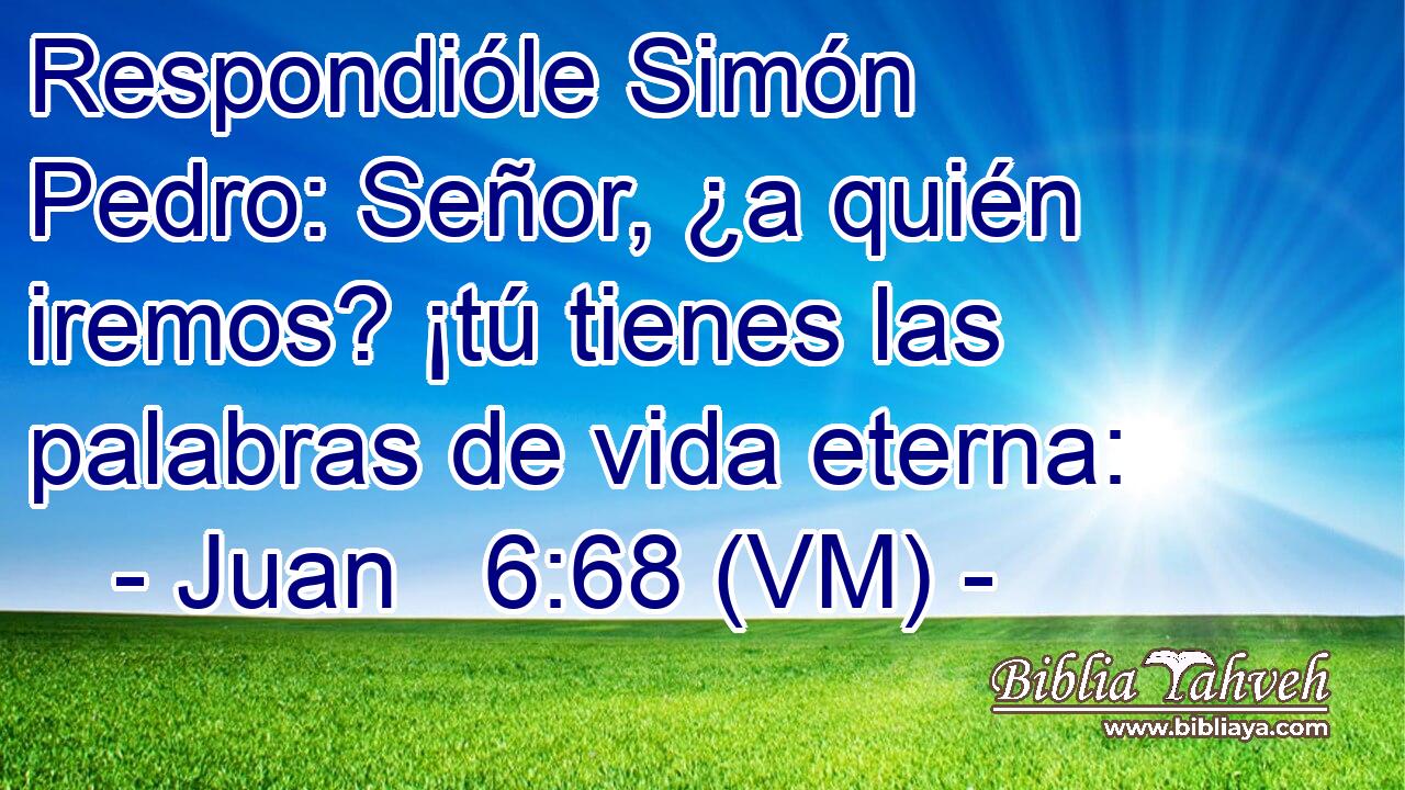  Respondióle Simón Pedro: Señor, ¿a quién iremos? ¡tú tienes las palabras de vida eterna: 