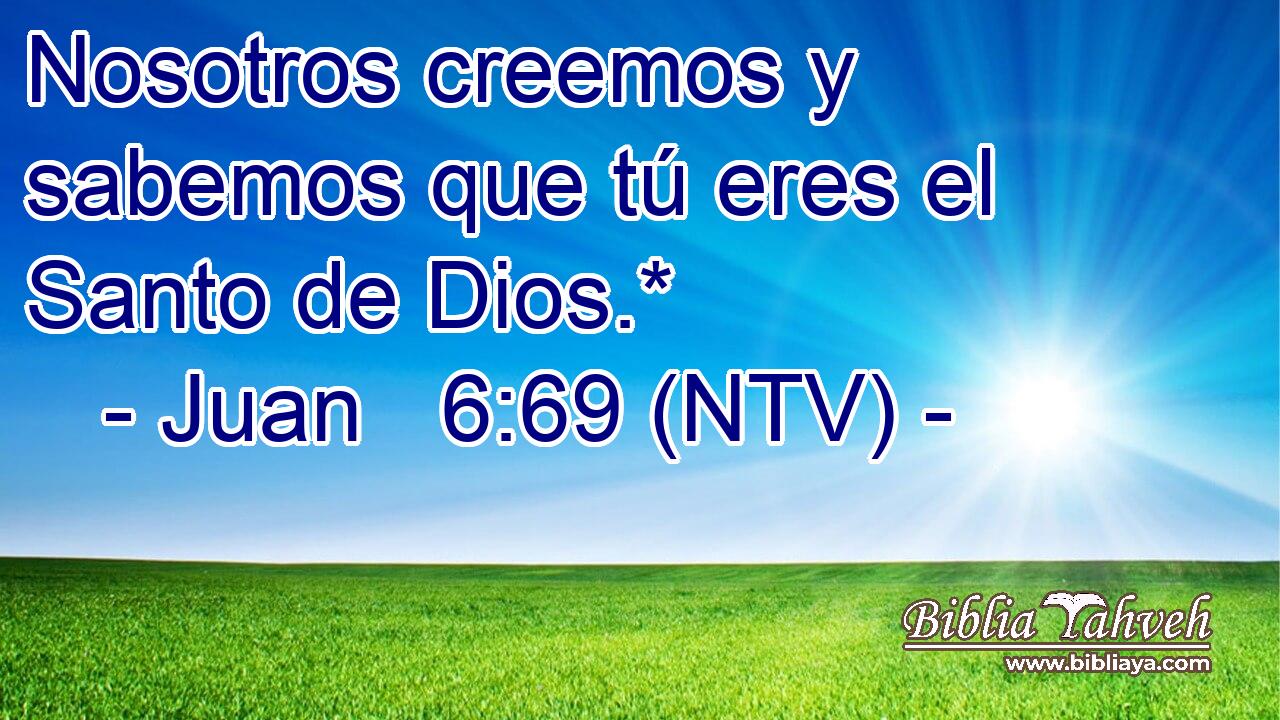 Nosotros creemos y sabemos que tú eres el Santo de Dios.*