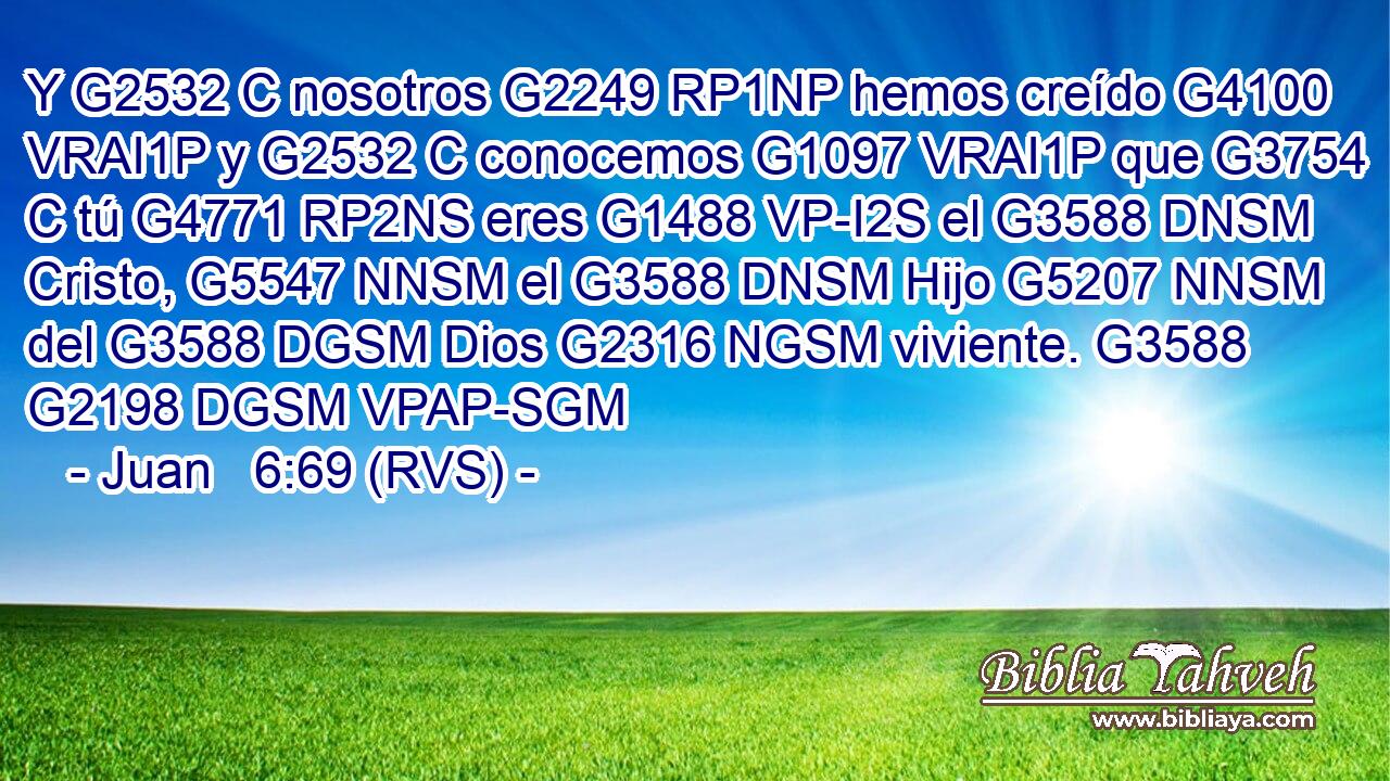 Y G2532 C nosotros G2249 RP1NP hemos creído G4100 VRAI1P y G2532 C conocemos G1097 VRAI1P que G3754 C tú G4771 RP2NS eres G1488 VP-I2S el G3588 DNSM Cristo, G5547 NNSM el G3588 DNSM Hijo G5207 NNSM del G3588 DGSM Dios G2316 NGSM viviente. G3588 G2198 DGSM VPAP-SGM 