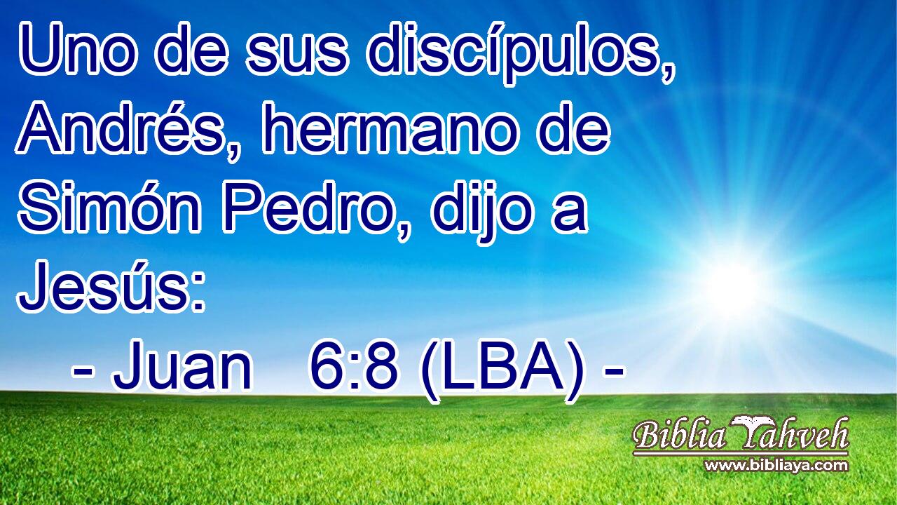 Uno de sus discípulos, Andrés, hermano de Simón Pedro, dijo a Jesús: