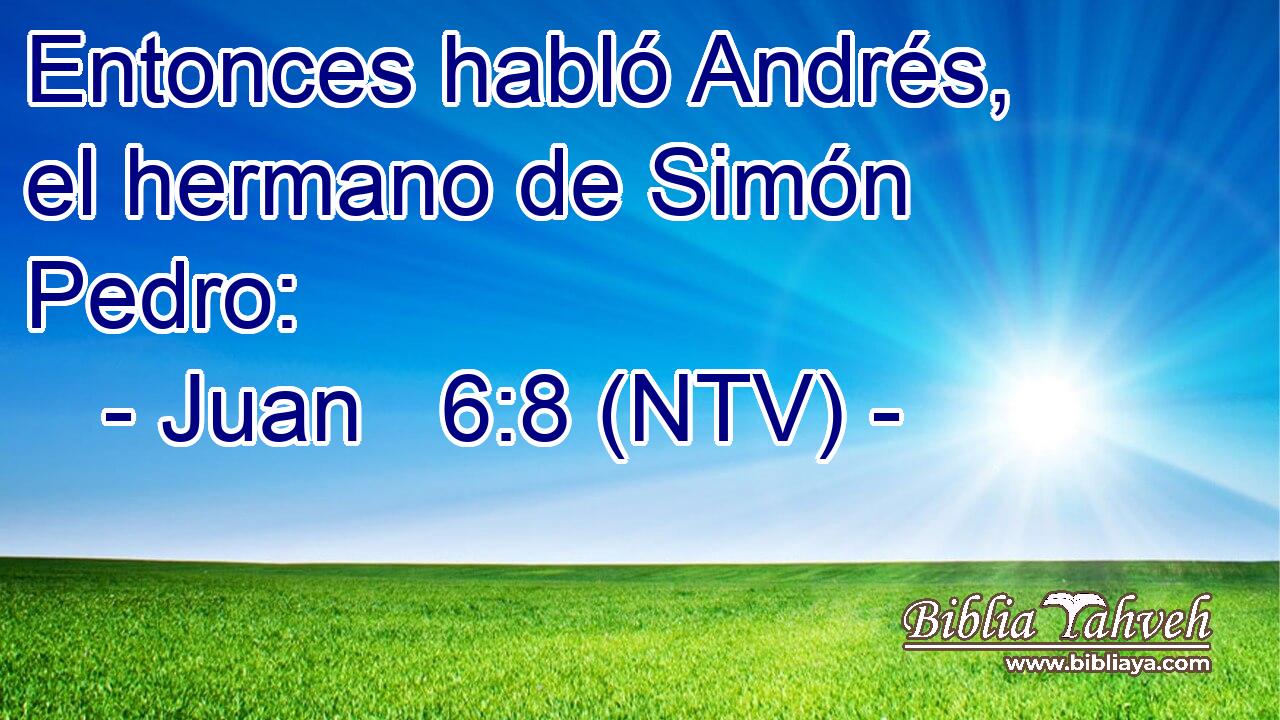 Entonces habló Andrés, el hermano de Simón Pedro: