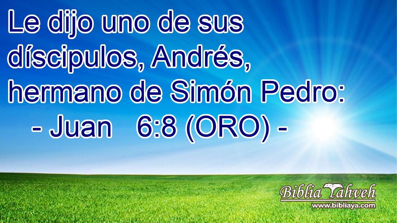  Le dijo uno de sus díscipulos, Andrés, hermano de Simón Pedro: 