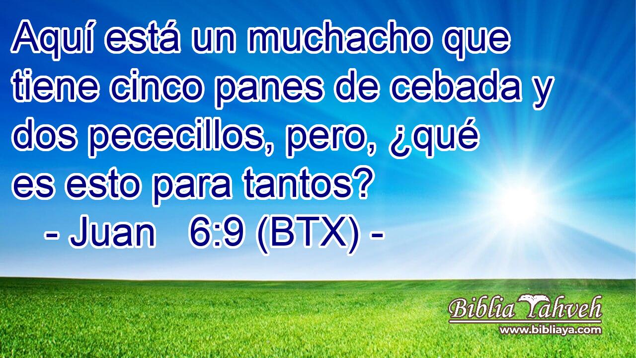 Aquí está un muchacho que tiene cinco panes de cebada y dos pececillos, pero, ¿qué es esto para tantos?