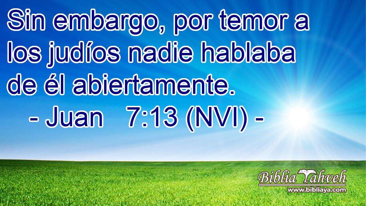  Sin embargo, por temor a los judíos nadie hablaba de él abiertamente. 