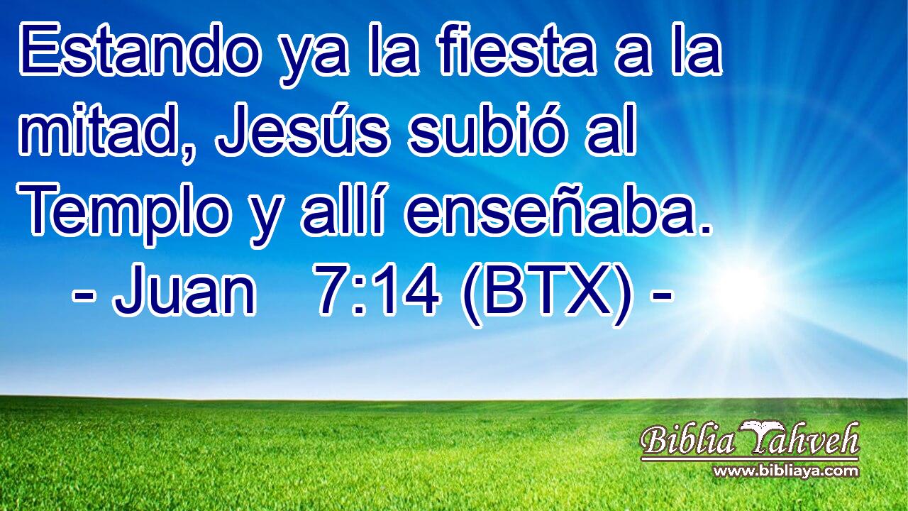 Estando ya la fiesta a la mitad, Jesús subió al Templo y allí enseñaba.