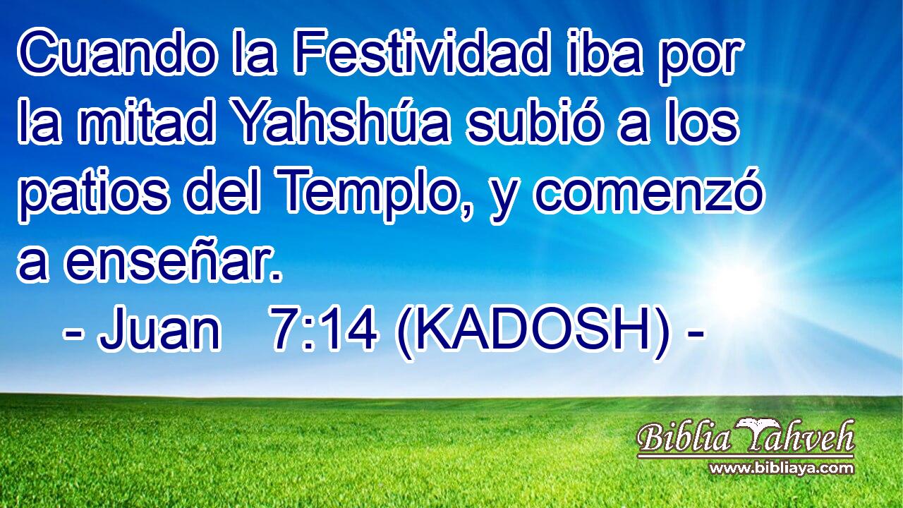  Cuando la Festividad iba por la mitad Yahshúa subió a los patios del Templo, y comenzó a enseñar. 