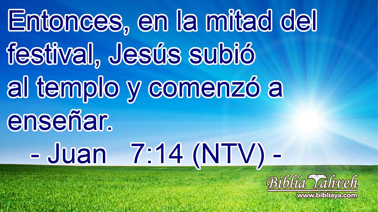 Entonces, en la mitad del festival, Jesús subió al templo y comenzó a enseñar.