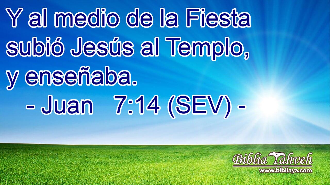 Y al medio de la Fiesta subió Jesús al Templo, y enseñaba.