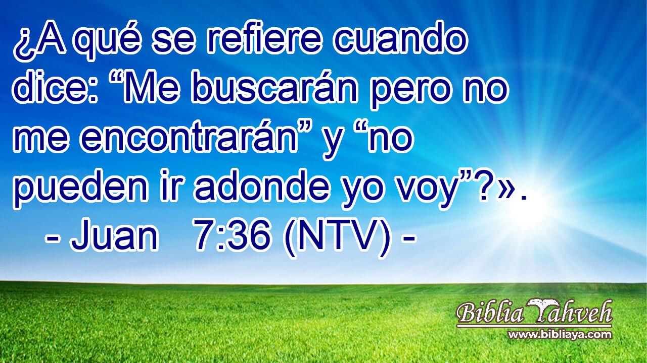 ¿A qué se refiere cuando dice: “Me buscarán pero no me encontrarán” y “no pueden ir adonde yo voy”?».