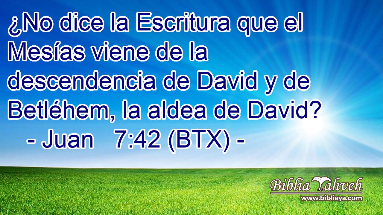¿No dice la Escritura que el Mesías viene de la descendencia de David y de Betléhem, la aldea de David?