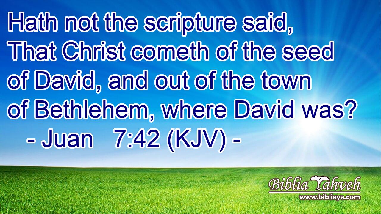 Hath not the scripture said, That Christ cometh of the seed of David, and out of the town of Bethlehem, where David was?