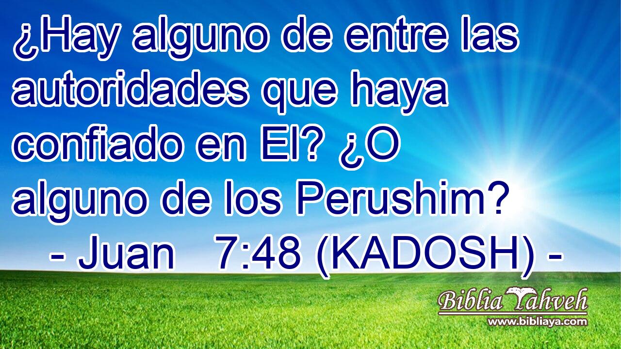  ¿Hay alguno de entre las autoridades que haya confiado en El? ¿O alguno de los Perushim?