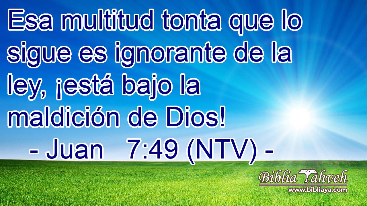 Esa multitud tonta que lo sigue es ignorante de la ley, ¡está bajo la maldición de Dios!