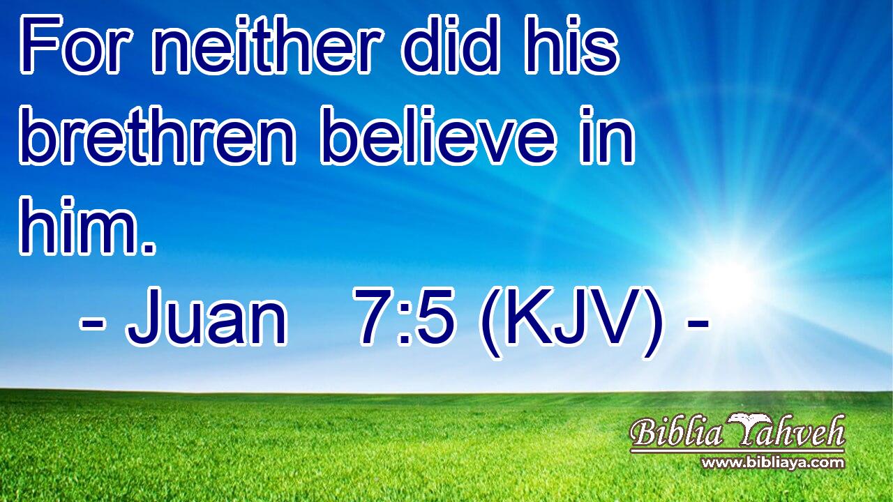 For neither did his brethren believe in him.