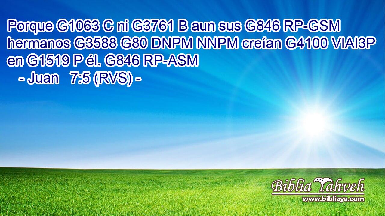 Porque G1063 C ni G3761 B aun sus G846 RP-GSM hermanos G3588 G80 DNPM NNPM creían G4100 VIAI3P en G1519 P él. G846 RP-ASM 