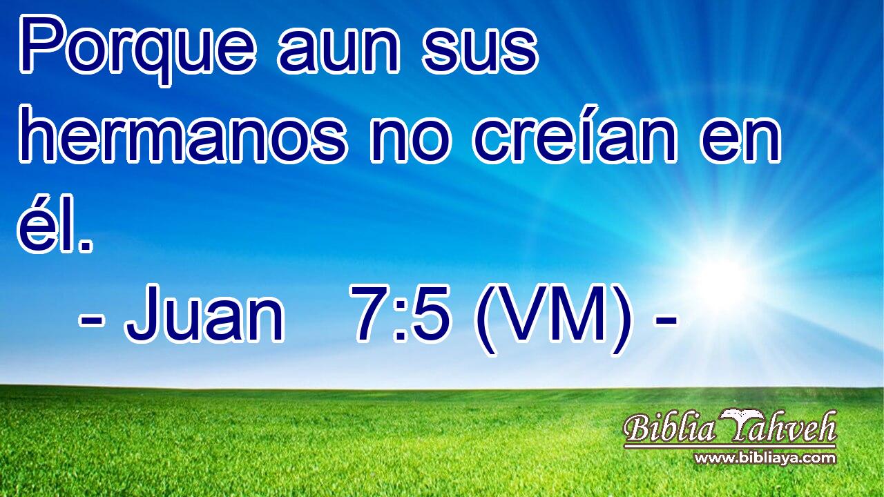  Porque aun sus hermanos no creían en él. 