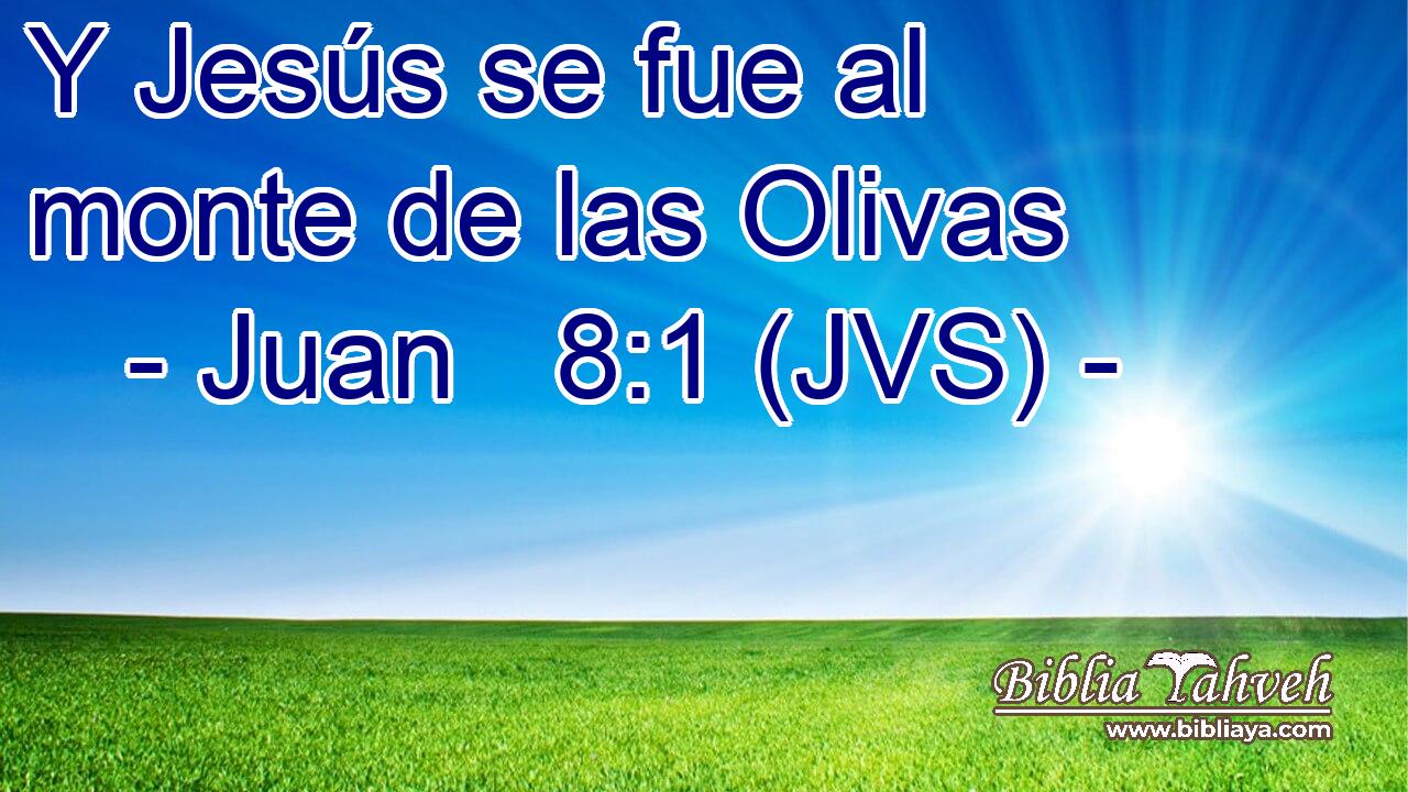 Y Jesús se fue al monte de las Olivas
