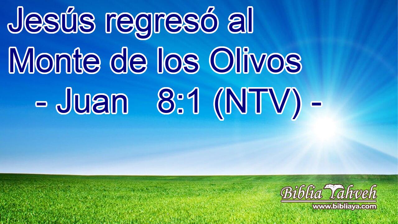 Jesús regresó al Monte de los Olivos