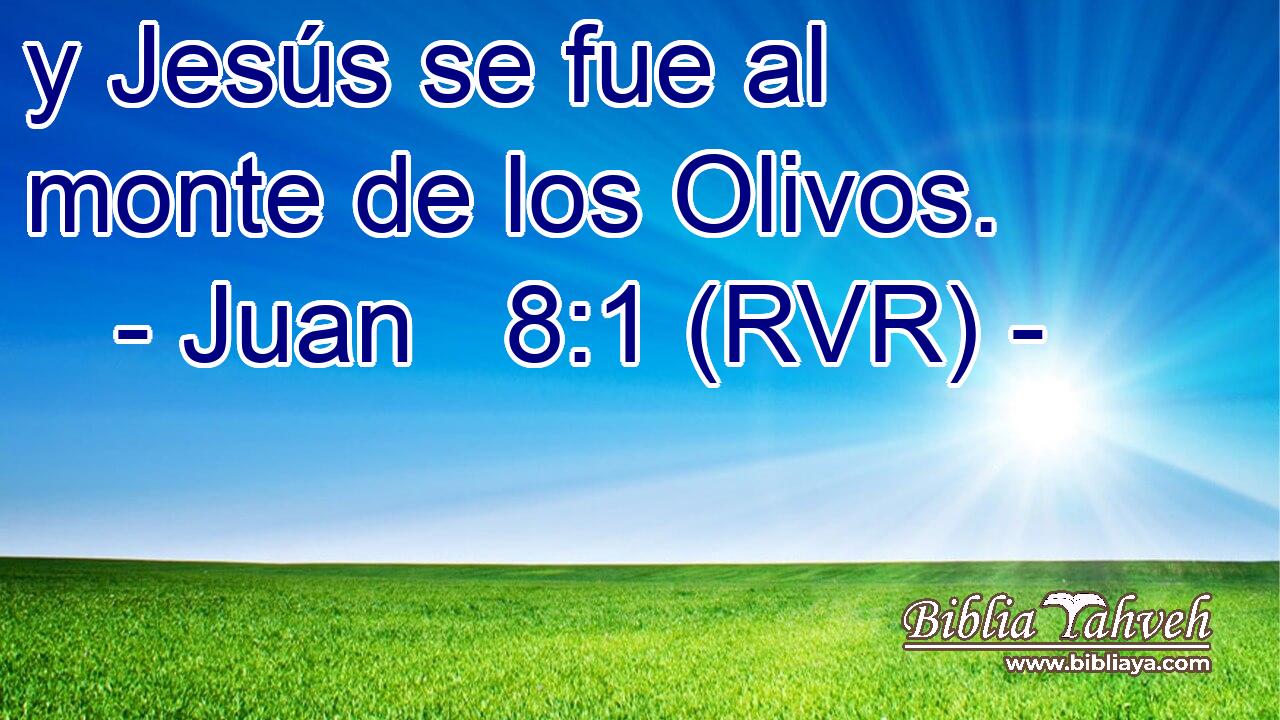 y Jesús se fue al monte de los Olivos.